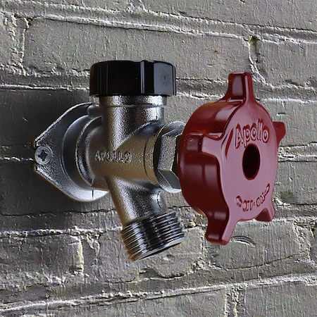 Apollo 1/2 in. Brass PEX Barb x 3/4 in. MHT Chromed Brass Telescoping Anti-Siphon Frost Free Sillcock APXFPH12